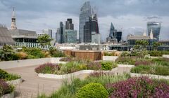 London Open Gardens: ежегодный фестиваль возвращается в столицу