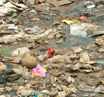 Сотни тонн мусора: власти расследуют появление огромной свалки в Оксфордшире