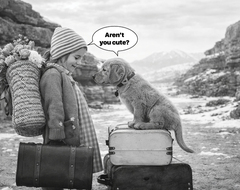 Слова, убежавшие от исходного значения. Тест о том, как британцы меняют свой язык