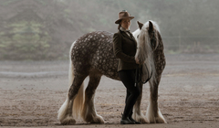 К году Лошади по китайскому календарю: как устроена жизнь владельца лошадей