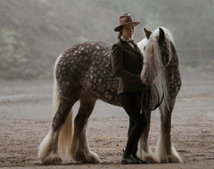 К году Лошади по китайскому календарю: как устроена жизнь владельца лошадей
