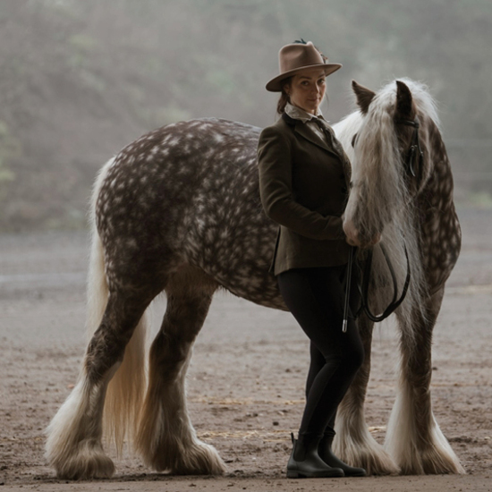 К году Лошади по китайскому календарю: как устроена жизнь владельца лошадей