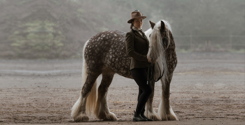 К году Лошади по китайскому календарю: как устроена жизнь владельца лошадей