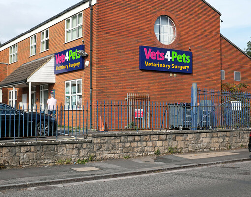 Сначала прайс: британских ветеринаров обязали раскрывать стоимость услуг