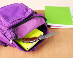 Прощай, оружие: британских подростков отучат решать конфликты с помощью ножей