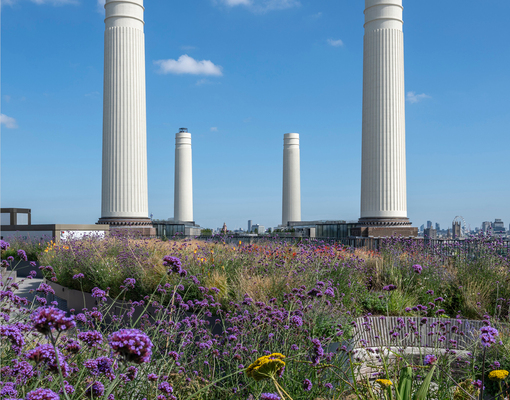 От укромных оазисов до вершин ландшафтного дизайна: в столице пройдет фестиваль London Open Gardens