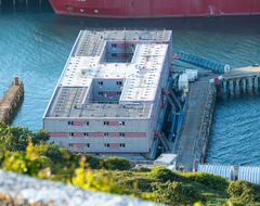 Просители убежища, получившие отказ, остаются в Великобритании