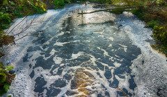 Из огня да в нечистоты: зоны для купания загрязнены сточными водами