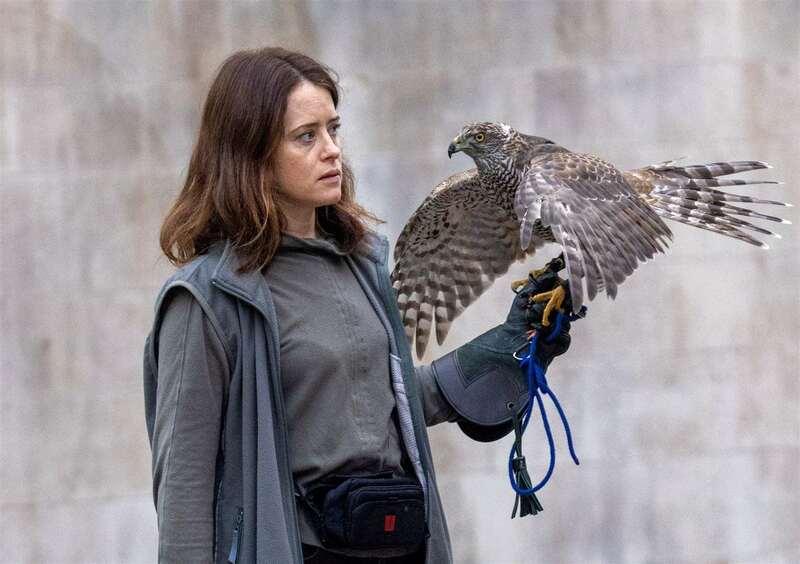 Кадр из фильма «H Is for Hawk». Фото: imdb.com