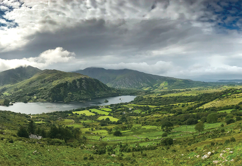 Фото: unsplash.com