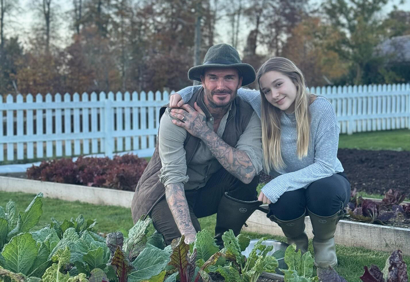 Фото: instagram.com/davidbeckham