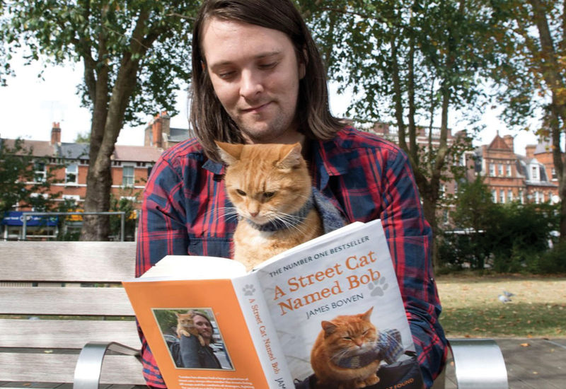Фото: instagram.com/officialstreetcatbob