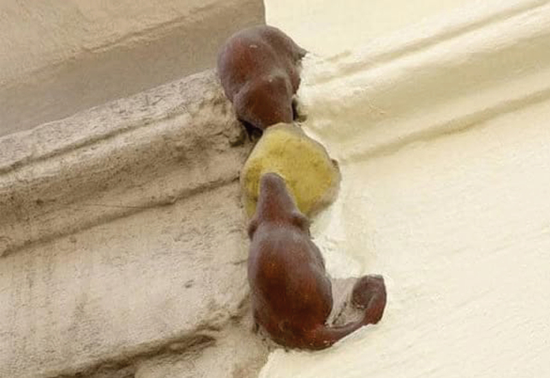 Фото: facebook.com/groups/143520235831162